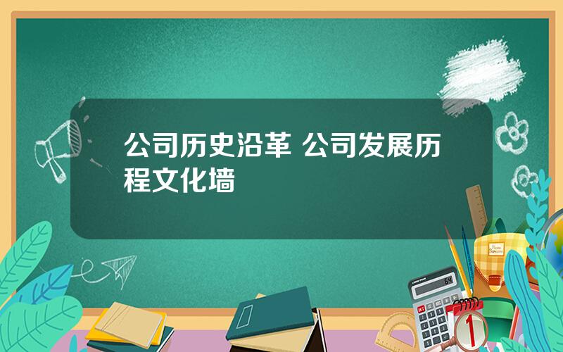 公司历史沿革 公司发展历程文化墙